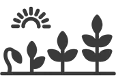 icone evolution d'une plante BCF Compétence